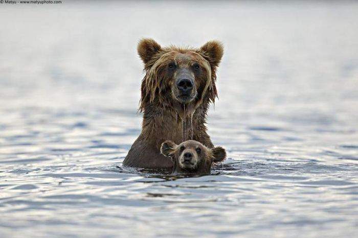 А это я на море с предками..