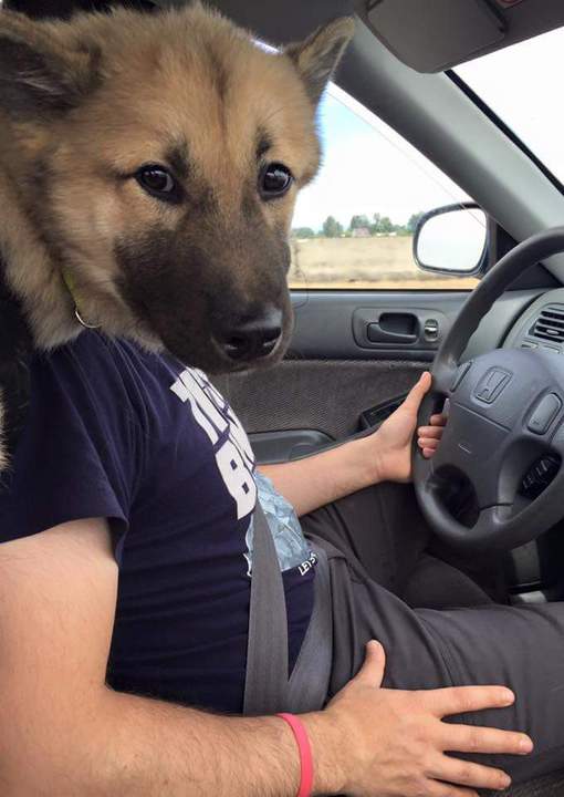 Где-то под Тамбовом...