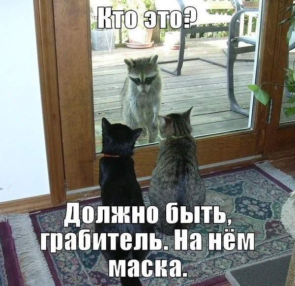 не, брат, мы Мистер Икс не любим