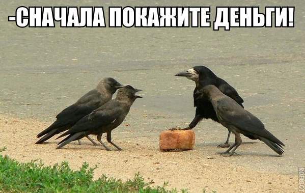 Ворон, ты зарвался. Наложил лапу на общак. Братва недовольна.
