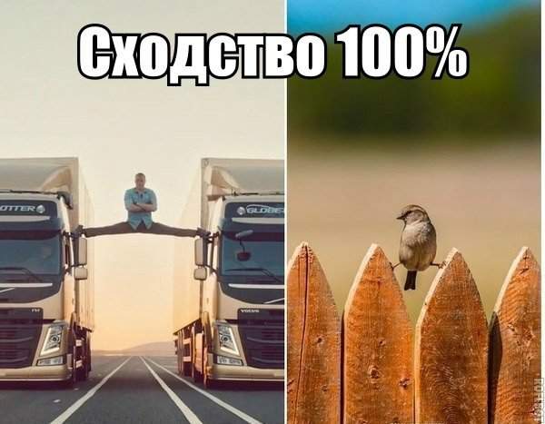 Ван Дамм не воробей. Вылетит - не поймаешь.