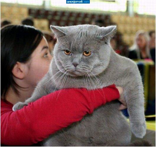 Держыте меняяя!!!!!!! Держыте меня семеро!!!!!!!!