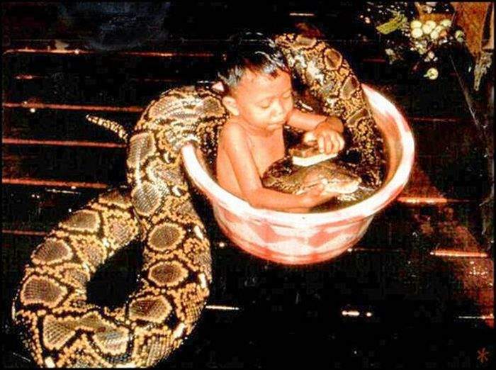 Банный день