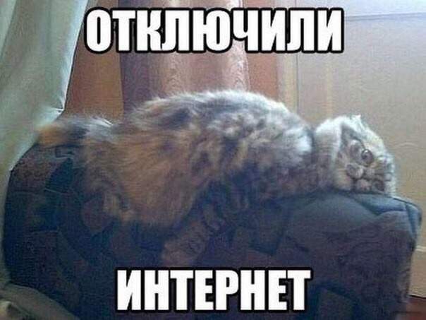 Внуки уехали...