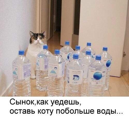 Пап, поручение выполнил. Приедешь - открой.
