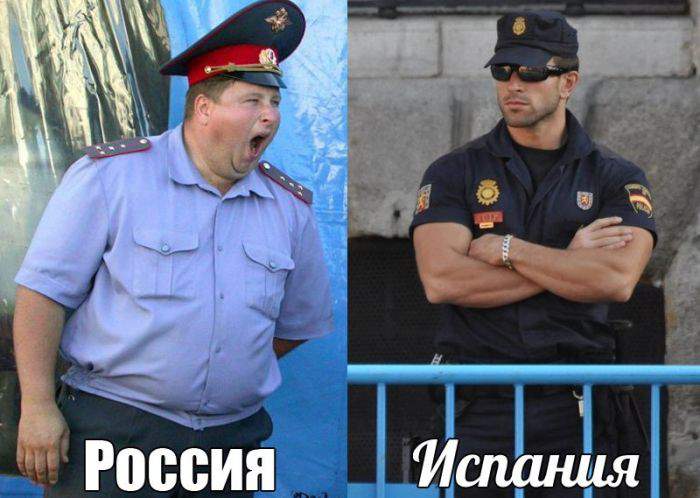 Да наш его съест запросто!