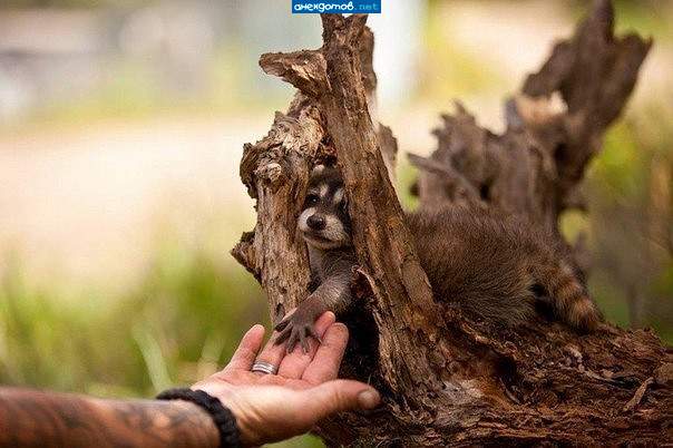 Очень приятно,будем знакомы....