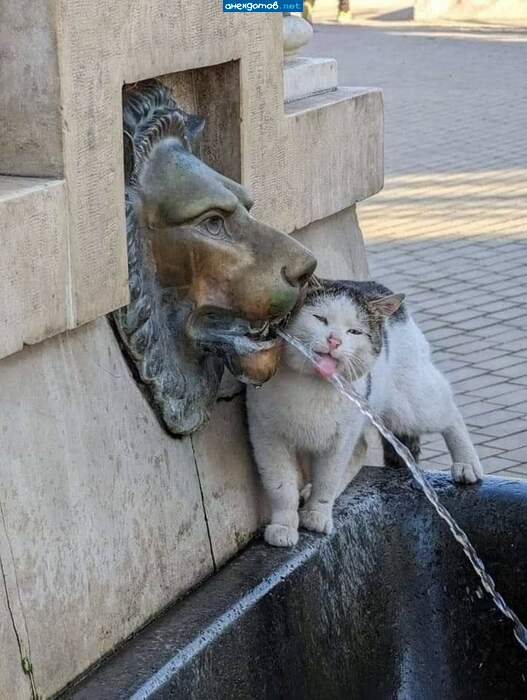 Это лучше чем у мальчика