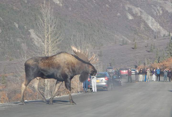 Красавец)))