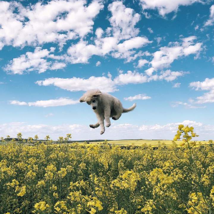 Воздушный Шарик
