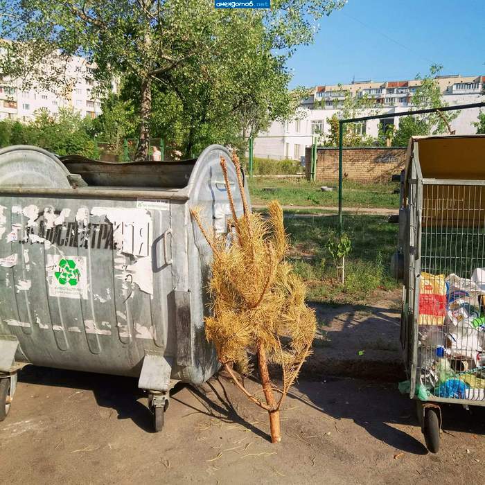 Ещё один сдался...
