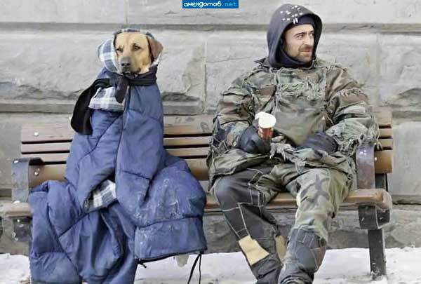 И ни одной суки, хозяин! Не сезон, Бобик!