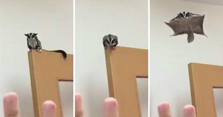 За ВДВ!!!