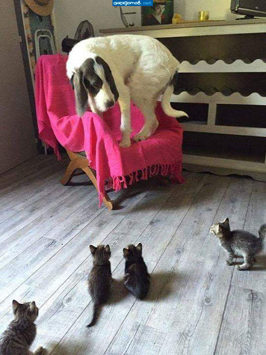 Банда
