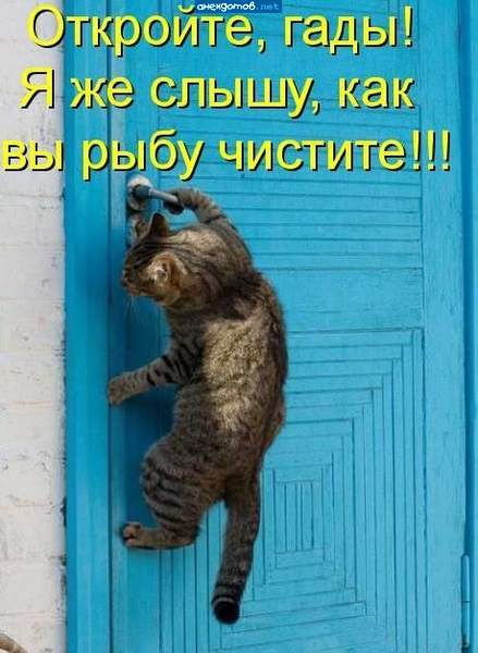 я нагулялся