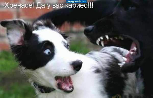 Самая лучшая надпись - на фотке!!! :))))))
