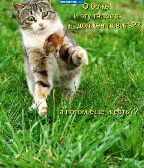 уйди гадость!