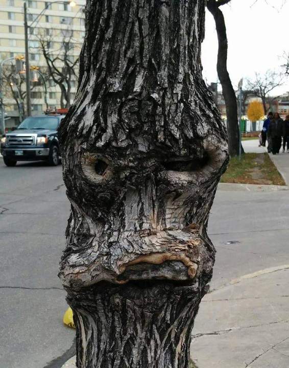 Суров,подлец!!!