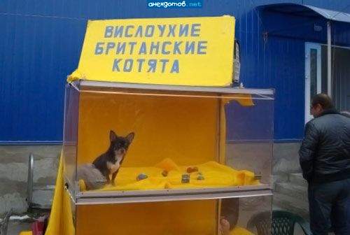 насчет ушей - брехня