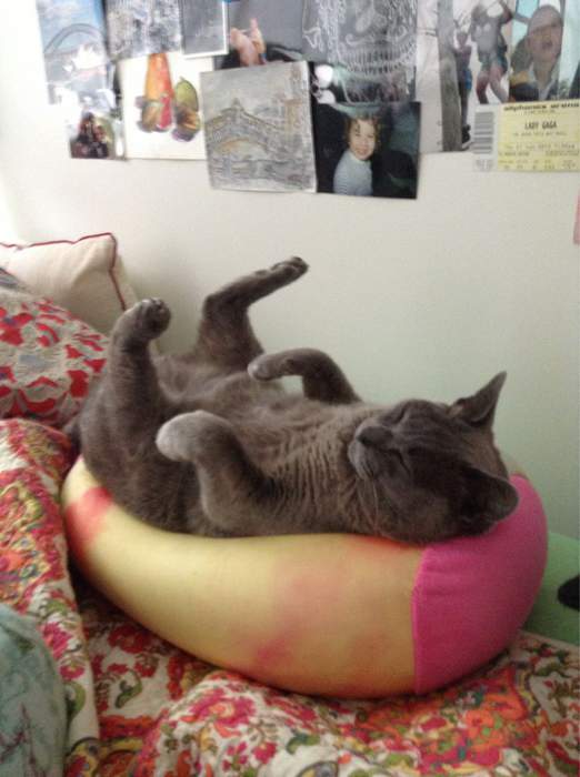 Мумия Котанхамона