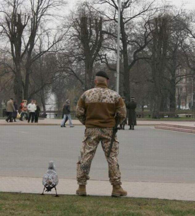 Объект охраняет пехота и авиация...