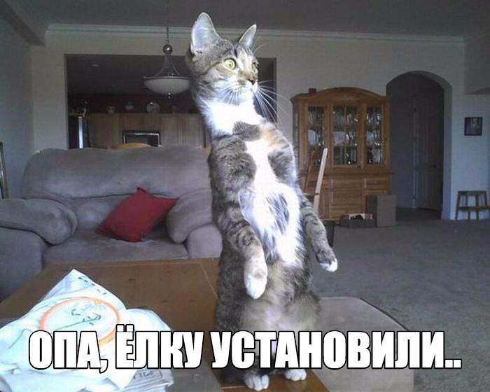 опаньки..