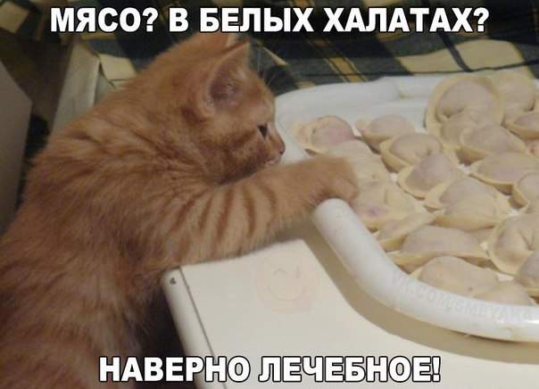 Домашний инспектор по качеству.