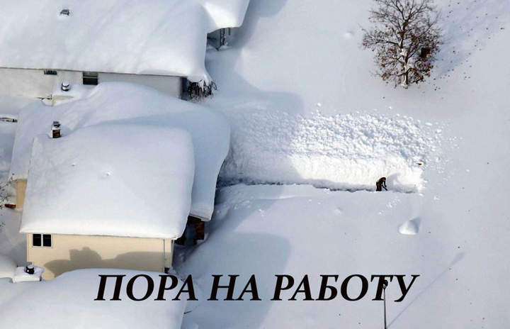 Мороз и солнце, день чудесный! Ты всё копаешь, друг прелестный?
