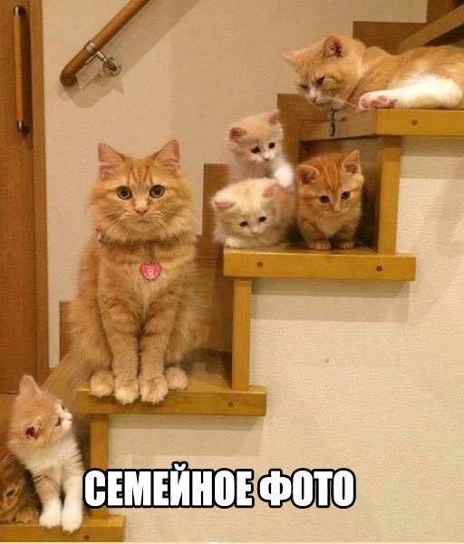 семеро по лавкам