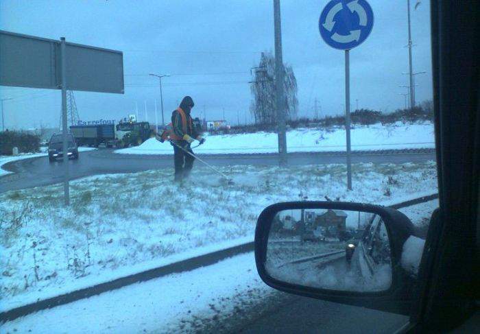 видать трава забористая