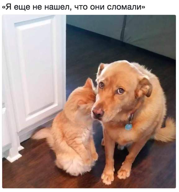 Косяк, видимо, большой...