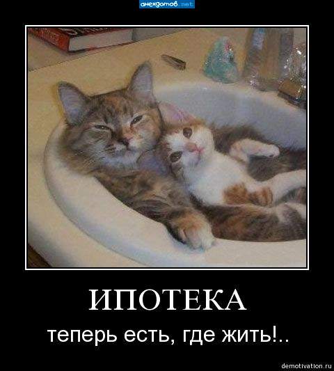 И жить где есть!
