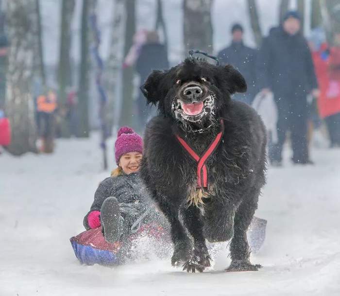 А на шее у нее - огниво