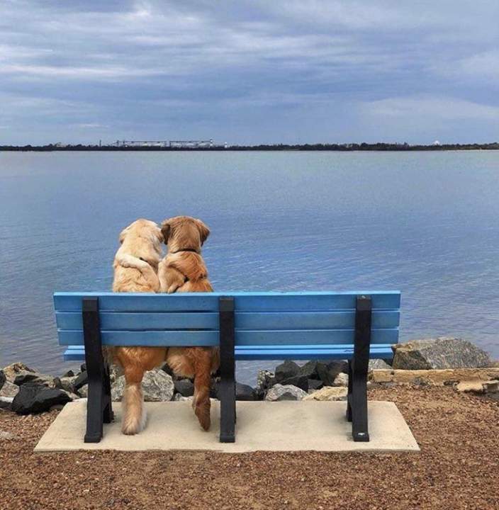 "Много ли для счастья надо..."