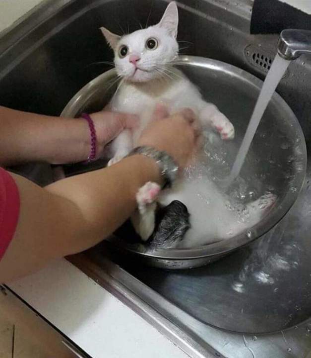 Да вы что все, офуели??