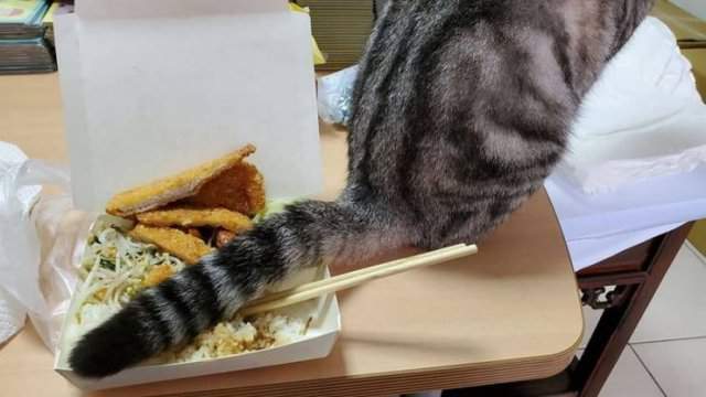 Клал я на японскую еду...