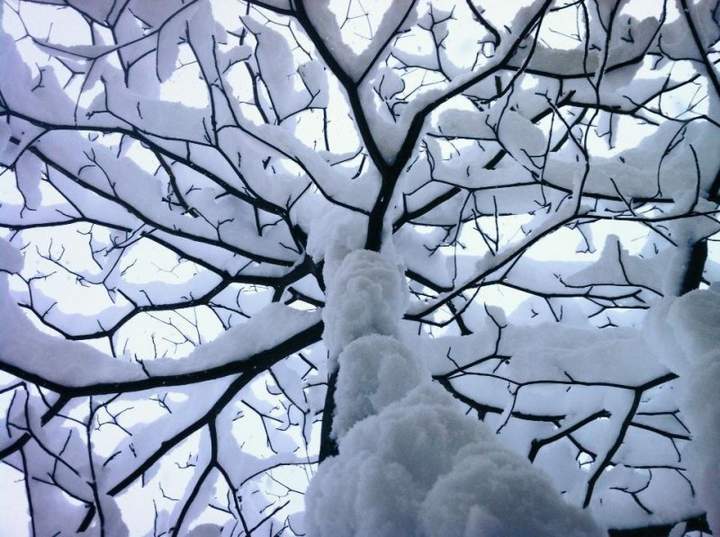 Кто скажет что это не лето, того лыжами по фейсу