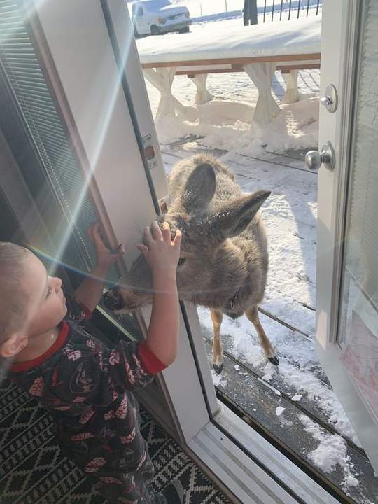 Летом приходи, летом! Щас нам самим жрать нечего....