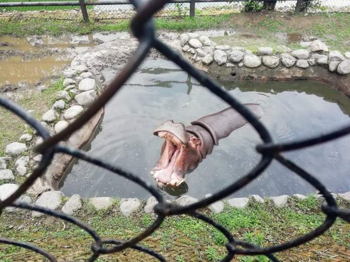 "Что вы там видите?"