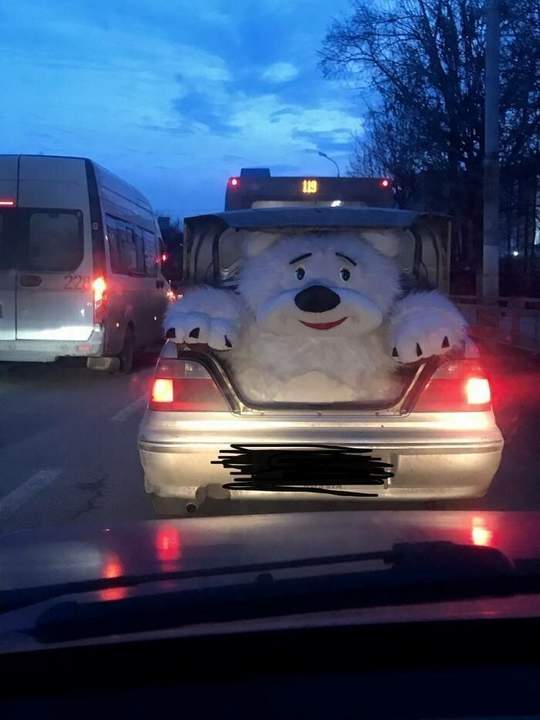 "Превед медвед!"