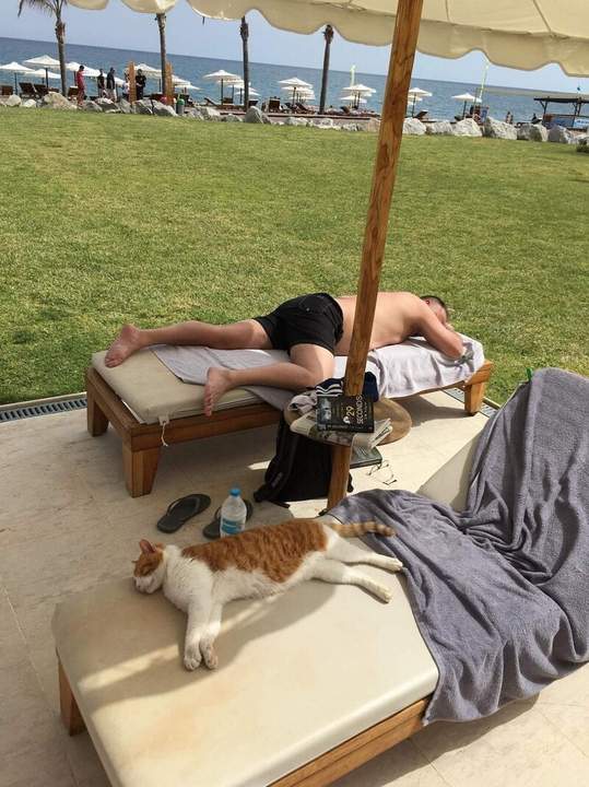 "А у котэ загар неровный !"