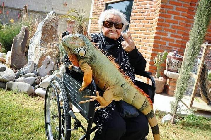 И на лапы и на рожи мы с подругою похожи.