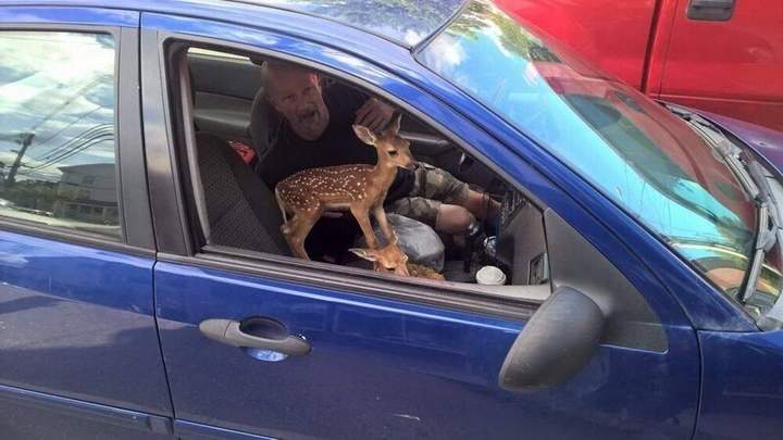 "Детей на переднее сиденье!!!!"