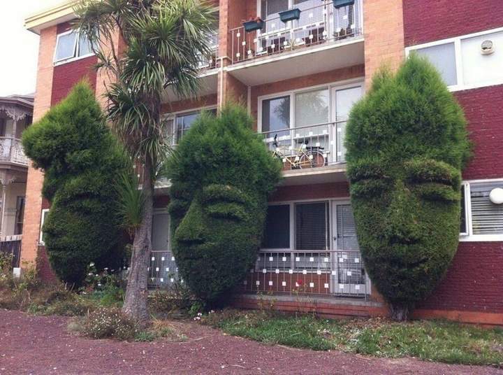 "У стен есть глаза и уши... Но чтоб наглые морды!?......"