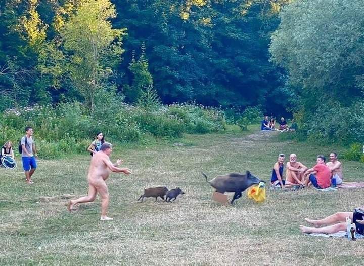 Ужас! Прям свинья какая-то!!