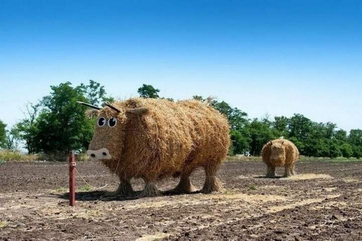 хочешь большой и чистой любви? приходи на сеновал!