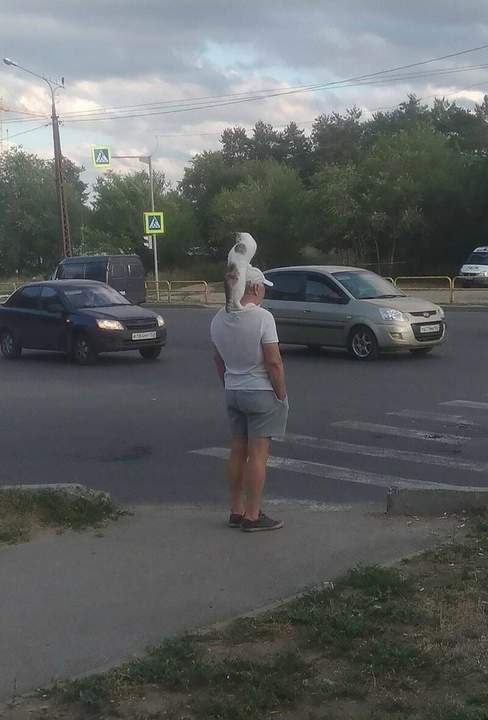 Впередсмотрящий: без меня не переходи, у тебя осталась одна жизнь