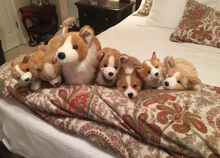 "Я тоже игрушка"