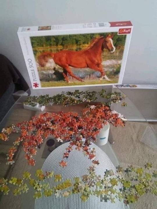 Ожидание и реальность