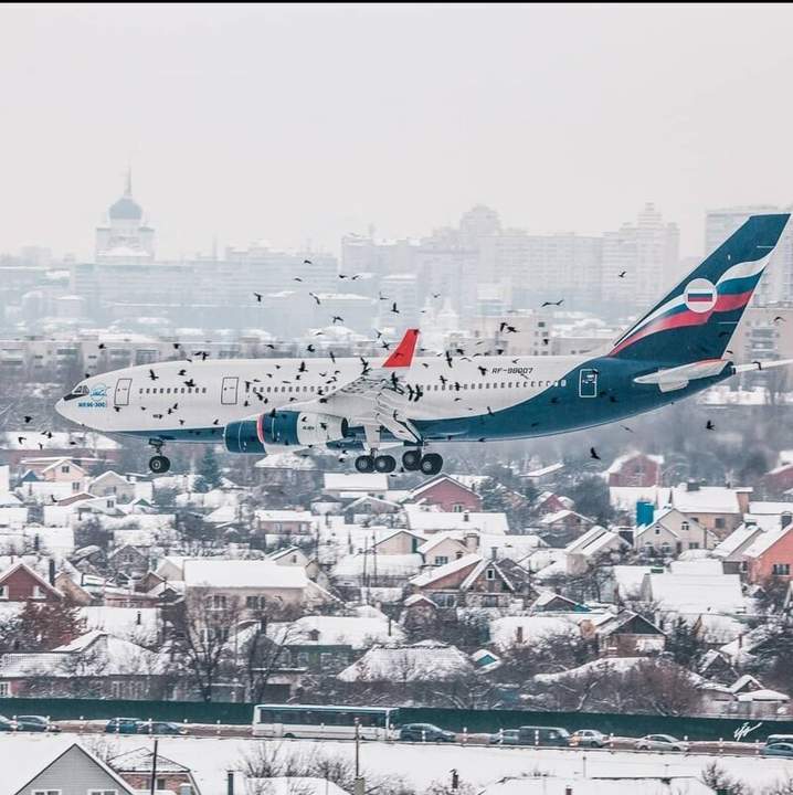 "Кузен приехал из москвы."